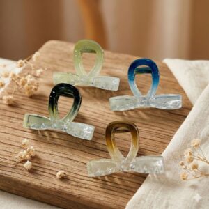 Imported Hair Clip (Design 11)